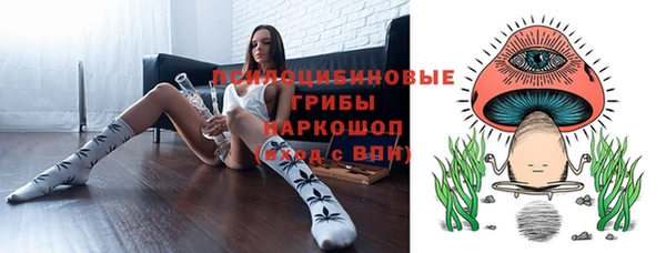 прущие грибы Михайлов