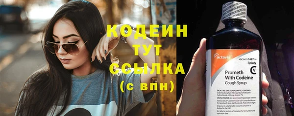 прущие грибы Михайлов