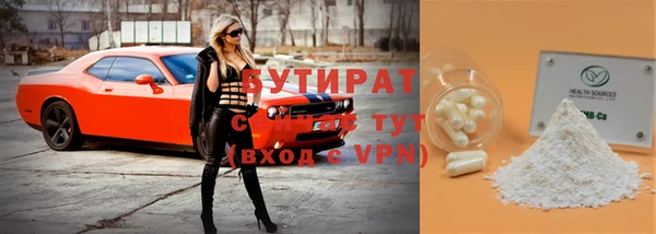 прущие грибы Михайлов