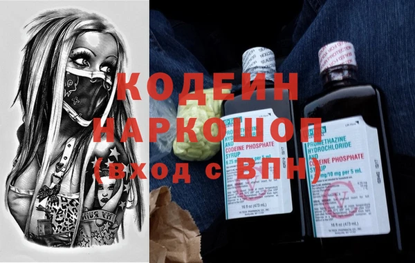 молекула духа Михайловск