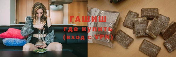 прущие грибы Михайлов