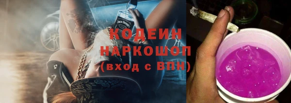 молекула духа Михайловск