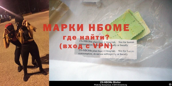 прущие грибы Михайлов