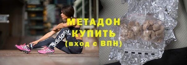 прущие грибы Михайлов